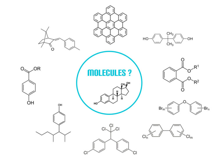 Qu'est ce qu'un perturbateur endocrinien ? : perturbateur-endocrinien.com